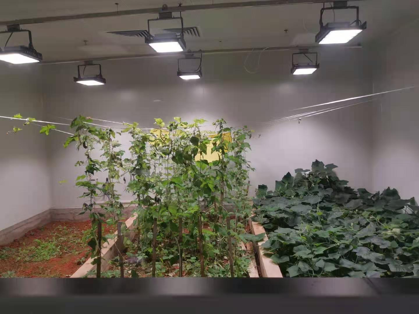 植物組培實驗室儀器設備配置清單