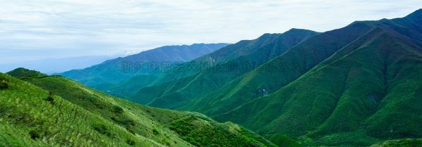 智慧護(hù)林有妙招，看太子山如何用科技守護(hù)森林