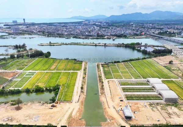 為鹽堿地安上“技術芯片”，托普云農打造耐鹽堿水稻科研試驗基地建設解決方案